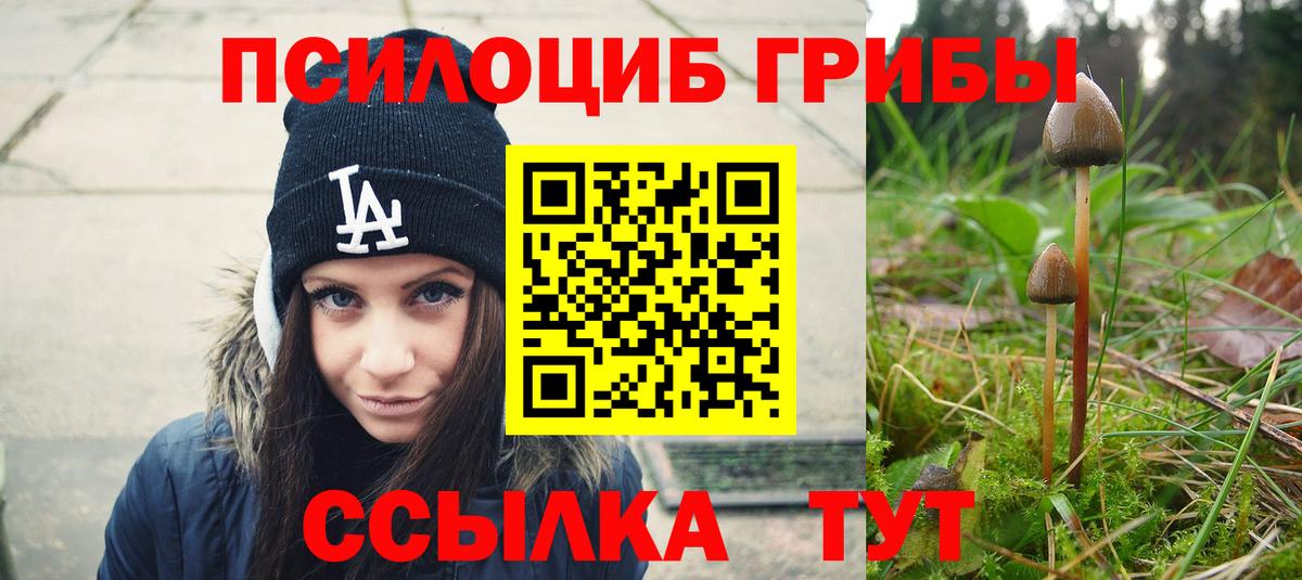 Кунгур  Псилоцибиновые грибы мухоморы  Вход с VPN 